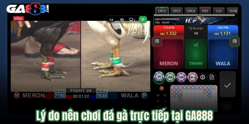 Lý do nên chơi đá gà trực tiếp tại GA888