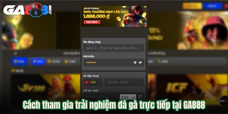 Cách tham gia trải nghiệm đá gà trực tiếp tại GA888