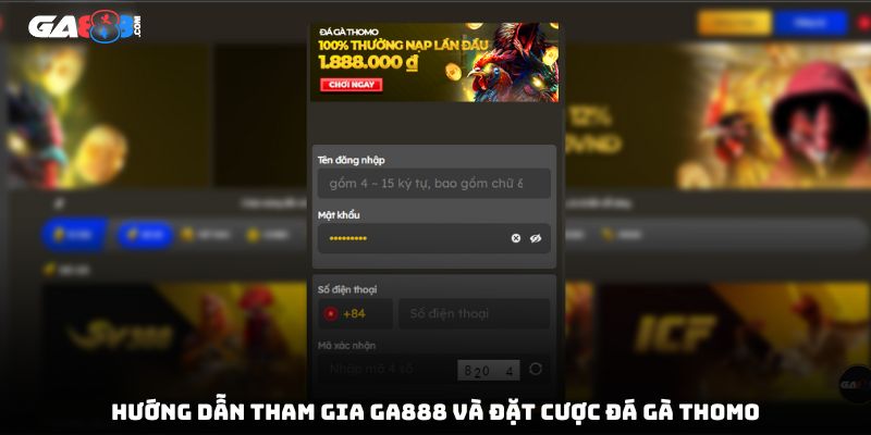 Hướng dẫn tham gia GA888 và đặt cược đá gà Thomo