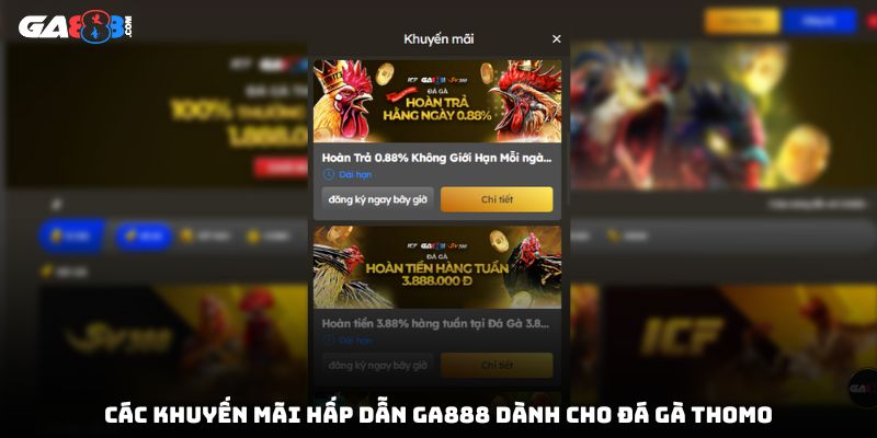 Các khuyến mãi hấp dẫn GA888 dành cho đá gà Thomo
