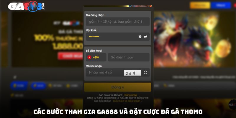 Các bước tham gia GA888 và đặt cược đá gà Thomo