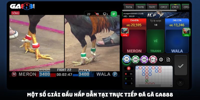 Một số giải đấu hấp dẫn tại trực tiếp đá gà GA888