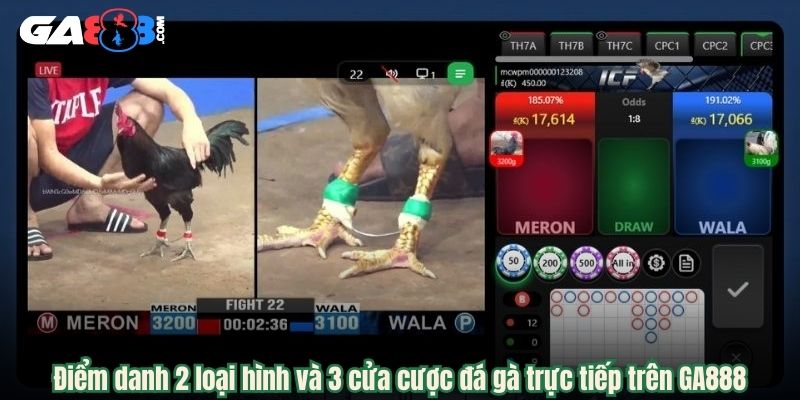Điểm danh 2 loại hình và 3 cửa cược đá gà trực tiếp trên GA888