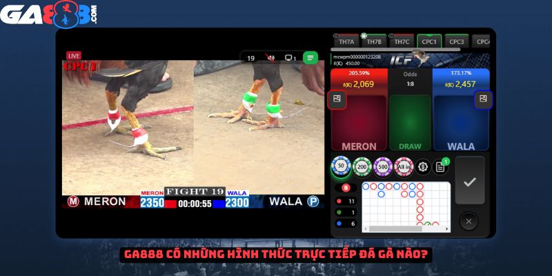 GA888 có những hình thức trực tiếp đá gà nào?
