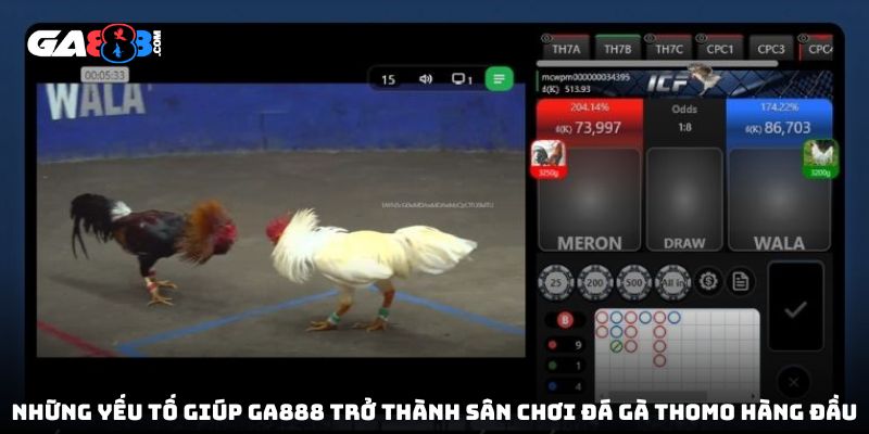 Những yếu tố giúp GA888 trở thành sân chơi đá gà Thomo hàng đầu