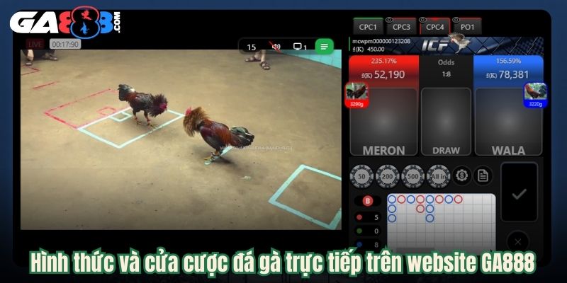 Hình thức và cửa cược đá gà trực tiếp trên website GA888