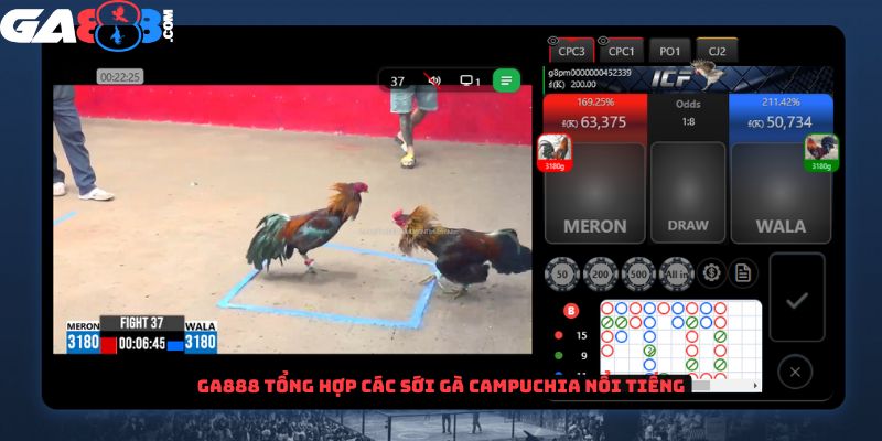 GA888 tổng hợp các sới gà tại Campuchia nổi tiếng 