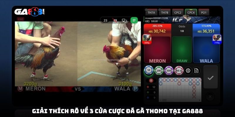 Giải thích rõ về 3 cửa cược đá gà Thomo tại GA888