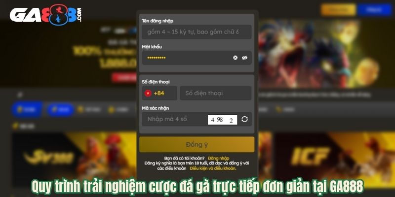Quy trình trải nghiệm cược đá gà trực tiếp đơn giản tại GA888