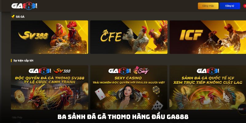 Ba sảnh đá gà Thomo hàng đầu GA888