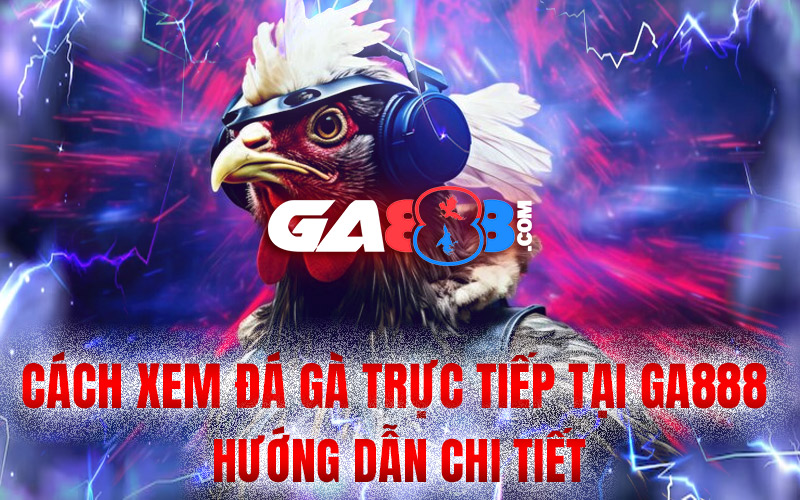 Cách Xem Đá Gà Trực Tiếp Tại GA888 Hướng Dẫn Chi Tiết