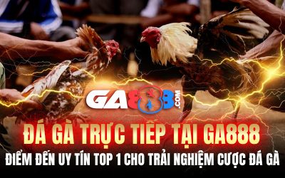 Đá Gà Trực Tiếp Tại GA888 – Điểm Đến Uy Tín Top 1 Cho Trải Nghiệm Cược Đá Gà