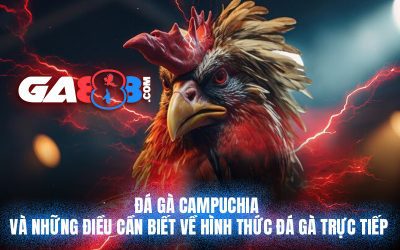 Đá gà Campuchia và những điều cần biết về hình thức đá gà trực tiếp