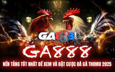 GA888 – Nền Tảng Tốt Nhất Để Xem Và Đặt Cược Đá Gà Thomo 2025