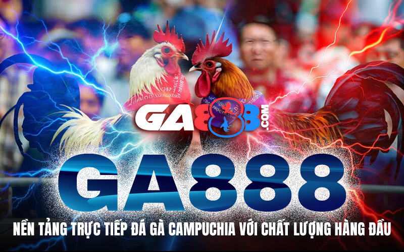 GA888 - Nền Tảng Trực Tiếp Đá Gà Campuchia Với Chất Lượng Hàng Đầu