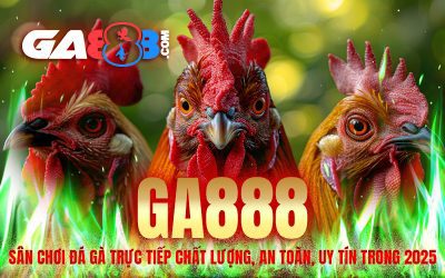 GA888 – Sân Chơi Đá Gà Trực Tiếp Chất Lượng, An Toàn, Uy Tín Trong 2025
