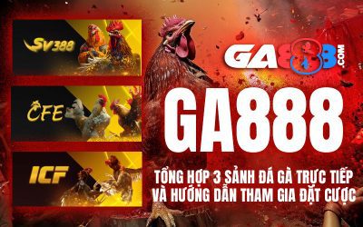 GA888 – Tổng Hợp 3 Sảnh Đá Gà Trực Tiếp Và Hướng Dẫn Tham Gia Đặt Cược