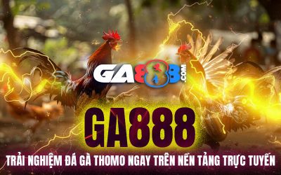 GA888 – Trải Nghiệm Đá Gà Thomo Ngay Trên Nền Tảng Trực Tuyến