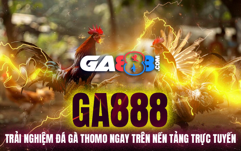 GA888 - Trải Nghiệm Đá Gà Thomo Ngay Trên Nền Tảng Trực Tuyến