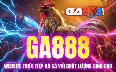 GA888 – Website Trực Tiếp Đá Gà Với Chất Lượng Đỉnh Cao