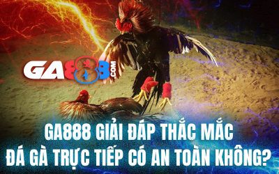 GA888 giải đáp thắc mắc đá gà trực tiếp có an toàn không?