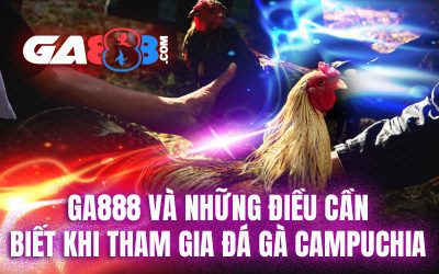 GA888 và những điều cần biết khi tham gia đá gà Campuchia