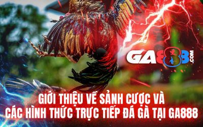 Giới thiệu về sảnh cược và các hình thức trực tiếp đá gà tại GA888