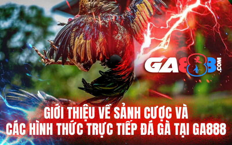 Giới thiệu về sảnh cược và các hình thức trực tiếp đá gà tại GA888