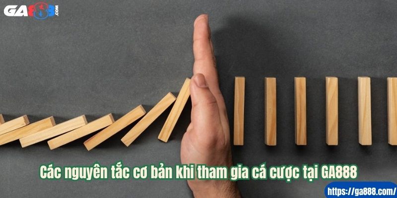 Các nguyên tắc cơ bản khi tham gia cá cược tại GA888